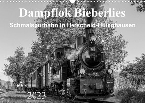 Dampflok Bieberlies in Herscheid-Hüinghausen (Wandkalender 2023 DIN A3 quer) von Rein,  Simone