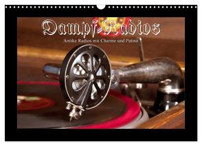 Dampfradios – Antike Radios mit Charme und Patina (Wandkalender 2024 DIN A3 quer), CALVENDO Monatskalender von Haselnusstafel,  Haselnusstafel