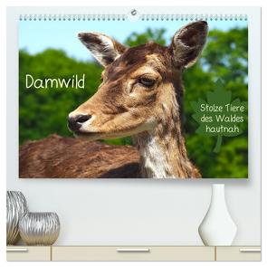 Damwild – stolze Tiere des Waldes hautnah (hochwertiger Premium Wandkalender 2024 DIN A2 quer), Kunstdruck in Hochglanz von Meyer © Stimmungsbilder1,  Marion