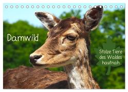 Damwild – stolze Tiere des Waldes hautnah (Tischkalender 2024 DIN A5 quer), CALVENDO Monatskalender von Meyer © Stimmungsbilder1,  Marion