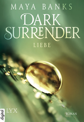 Dark Surrender – Liebe von Akhavan-Zandjani,  Firouzeh, Banks,  Maya