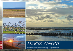 DARSS-ZINGST Halbinsel in Mecklenburg Vorpommern (Wandkalender 2021 DIN A2 quer) von Schimmack,  Claudia