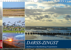 DARSS-ZINGST Halbinsel in Mecklenburg Vorpommern (Wandkalender 2021 DIN A4 quer) von Schimmack,  Claudia