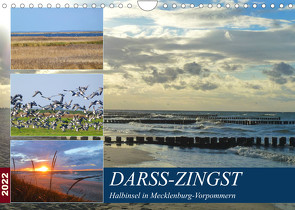 DARSS-ZINGST Halbinsel in Mecklenburg Vorpommern (Wandkalender 2022 DIN A4 quer) von Schimmack,  Claudia