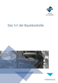 Das 1×1 der Baumkontrolle