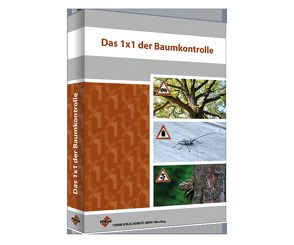 Das 1×1 der Baumkontrolle