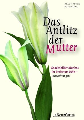 Das Antlitz der Mutter von Körber-Leupold,  Celia, Vosen,  Klaus P