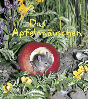 Das Apfelmäuschen (Mini-Ausgabe) von Reich,  Mathilde