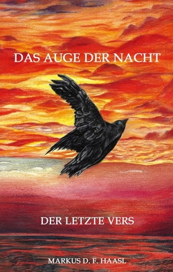 Das Auge der Nacht von Haasl,  Markus, Haasl,  Markus D. F., Rieg,  Hella