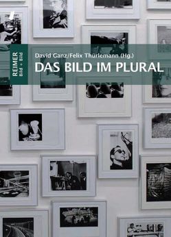 Das Bild im Plural von Ganz,  David, Thürlemann,  Felix