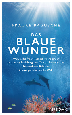 Das blaue Wunder von Bagusche,  Frauke