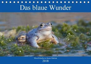 Das blaue Wunder – Moorfrösche in ihrem Habitat (Tischkalender 2018 DIN A5 quer) von Grahneis,  Sabine