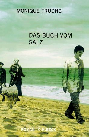 Das Buch vom Salz von Rojahn-Deyk,  Barbara, Truong,  Monique