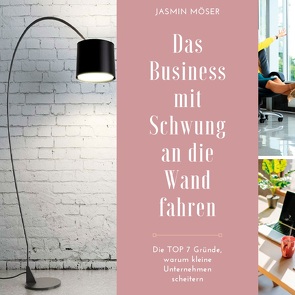 Das Business mit Schwung an die Wand fahren von Möser,  Jasmin