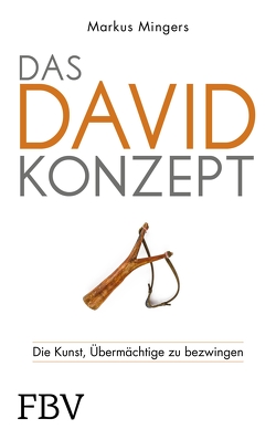 Das David-Konzept von Mingers,  Markus