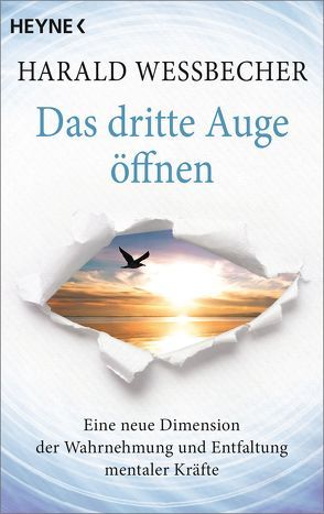 Das dritte Auge öffnen von Wessbecher,  Harald