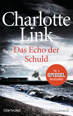 Das Echo der Schuld von Link,  Charlotte