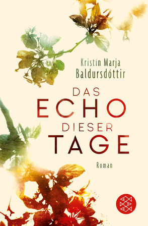 Das Echo dieser Tage von Baldursdóttir,  Kristín Marja, Flecken,  Tina