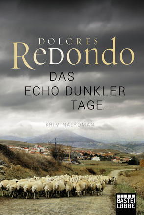 Das Echo dunkler Tage von Redondo,  Dolores, Strobel,  Matthias