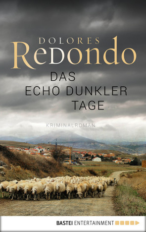 Das Echo dunkler Tage von Redondo,  Dolores, Strobel,  Matthias