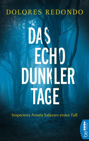 Das Echo dunkler Tage von Redondo,  Dolores, Strobel,  Matthias