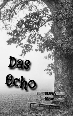 Das Echo von Meier,  Stefan