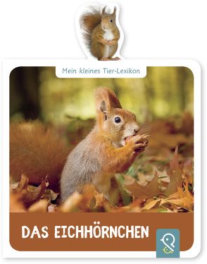 Das Eichhörnchen von Kastenhuber,  Hannah