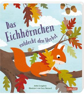 Das Eichhörnchen entdeckt den Herbst von Barnard,  Lucy, Klose,  Petra, Loughrey,  Anita