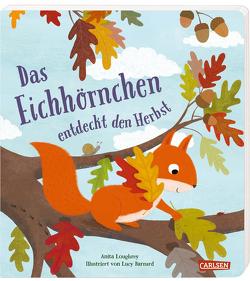 Das Eichhörnchen entdeckt den Herbst von Barnard,  Lucy, Klose,  Petra, Loughrey,  Anita