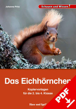 Das Eichhörnchen – Kopiervorlagen für die 2. bis 4. Klasse von Prinz,  Johanna