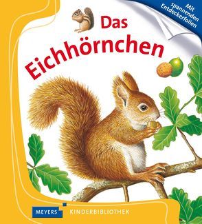 Das Eichhörnchen von Hugo,  Pierre de, Messmer,  Karin