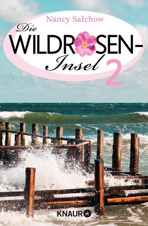 Das Ende einer Suche – Die Wildrosen-Insel 2 von Salchow,  Nancy