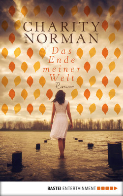 Das Ende meiner Welt von Norman,  Charity, Strasser,  Sylvia