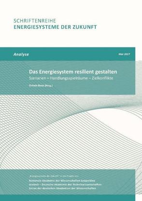 Das Energiesystem resilient gestalten von Renn,  Ortwin