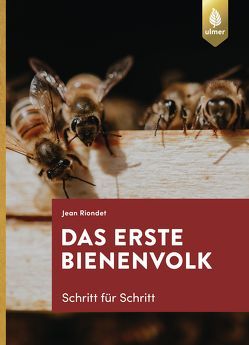 Das erste Bienenvolk – Schritt für Schritt von Riondet,  Jean