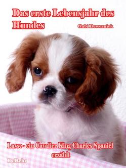 Das erste Lebensjahr des Hundes – Lasse – eine Cavalier King Charles Spaniel erzählt von Bewernick,  Gabriele, DeBehr,  Verlag