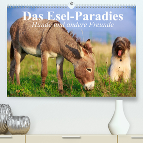 Das Esel-Paradies – Hunde und andere Feunde (Premium, hochwertiger DIN A2 Wandkalender 2022, Kunstdruck in Hochglanz) von Stanzer,  Elisabeth