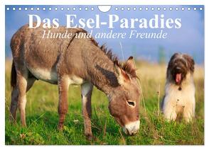 Das Esel-Paradies – Hunde und andere Feunde (Wandkalender 2024 DIN A4 quer), CALVENDO Monatskalender von Stanzer,  Elisabeth