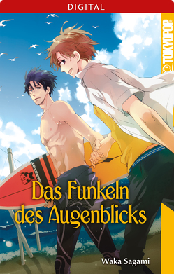 Das Funkeln des Augenblicks von Sagami,  Waka