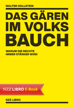 Das Gären im Volksbauch von Hollstein,  Walter