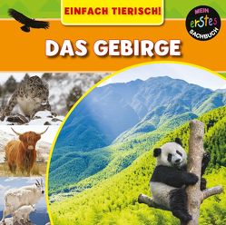 Das Gebirge von Wilkins,  Mary-Jane