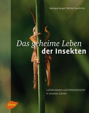 Das geheime Leben der Insekten von Berger,  Monique, Gaudichon,  Michel