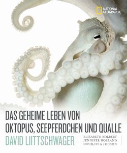 Das geheime Leben von Oktopus, Seepferdchen und Qualle von Holland,  Jennifer, Judson,  Olivia, Kolbert,  Elizabeth, Liittschwager,  David, Truffel-Reiff,  Susen