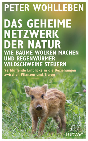 Das geheime Netzwerk der Natur von Wohlleben,  Peter