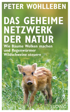 Das geheime Netzwerk der Natur von Wohlleben,  Peter