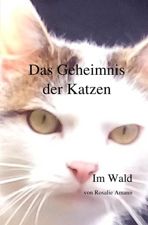 Das Geheimnis der Katzen von Amann,  Rosalie, Leidl,  Franz