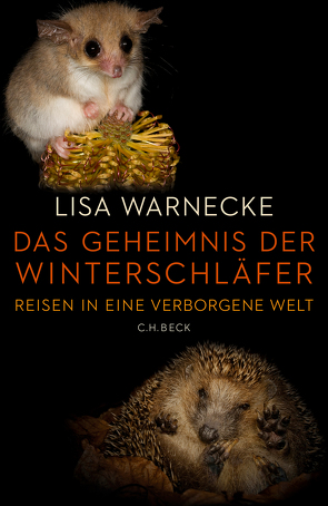 Das Geheimnis der Winterschläfer von Warnecke,  Lisa