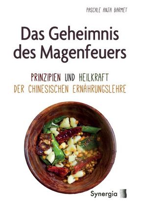 Das Geheimnis des Magenfeuers von Barmet,  Pascale A.