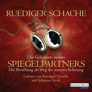 Das Geheimnis meines Spiegelpartners von Schache,  Ruediger, Steck,  Johannes