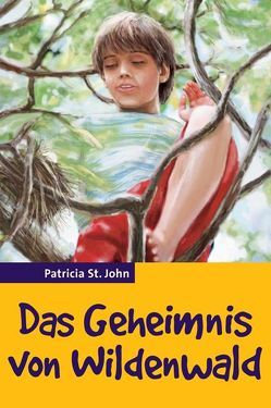 Das Geheimnis von Wildenwald von Aebi,  Elisabeth I, Pulido,  Justo G, St. John,  Patricia